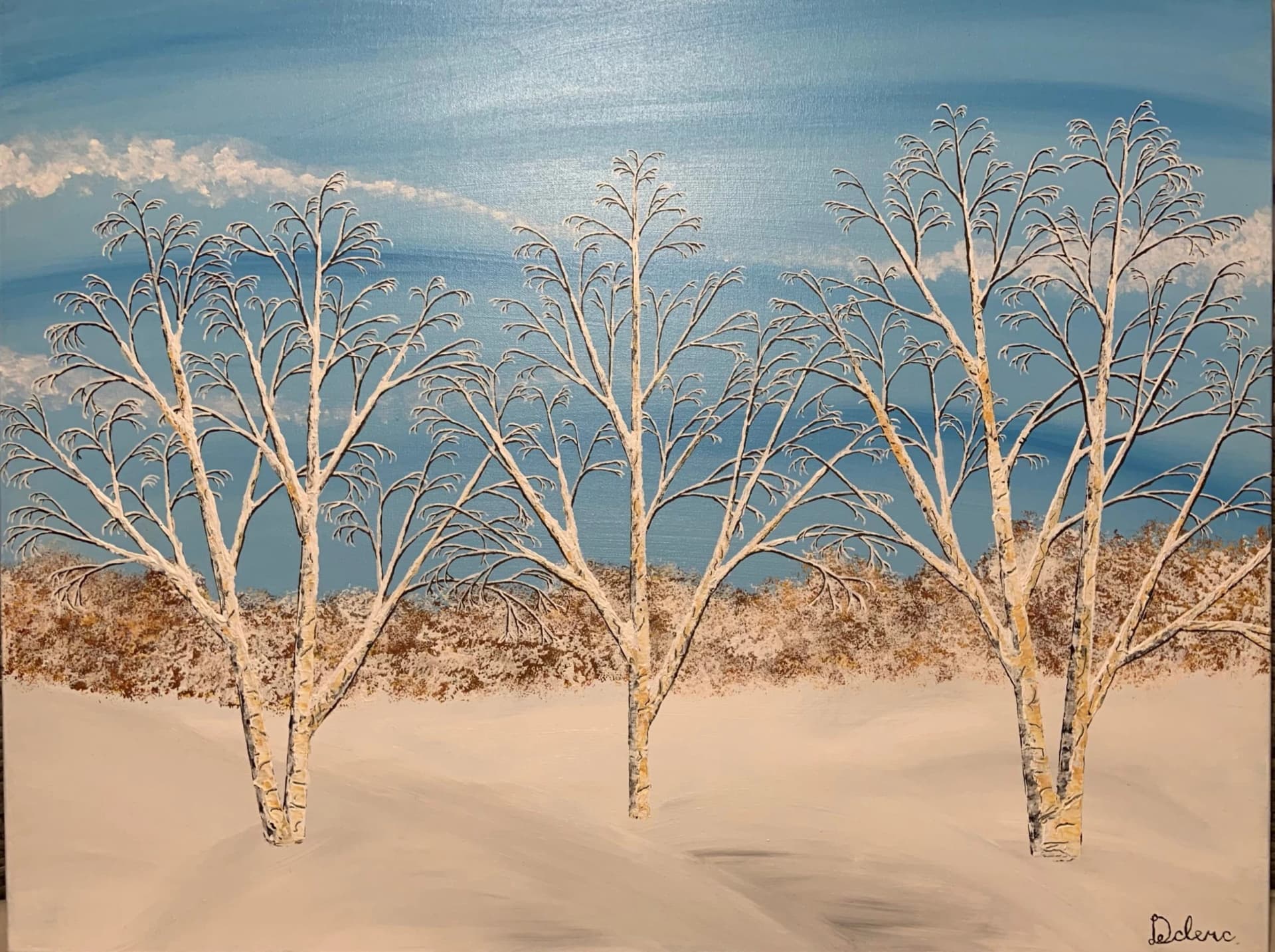 Paisible paysage enneigé