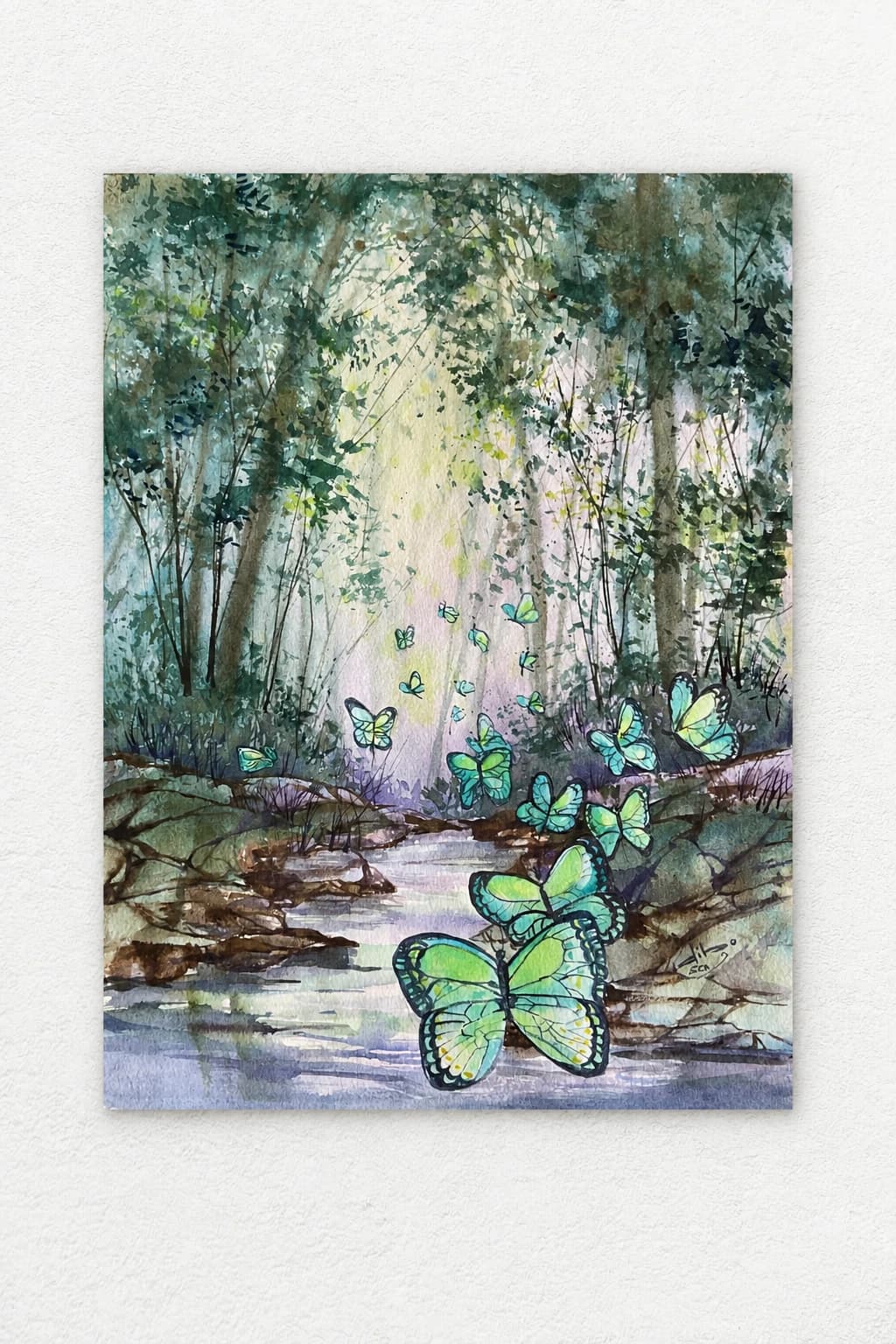 Wonder-Struck Butterflies