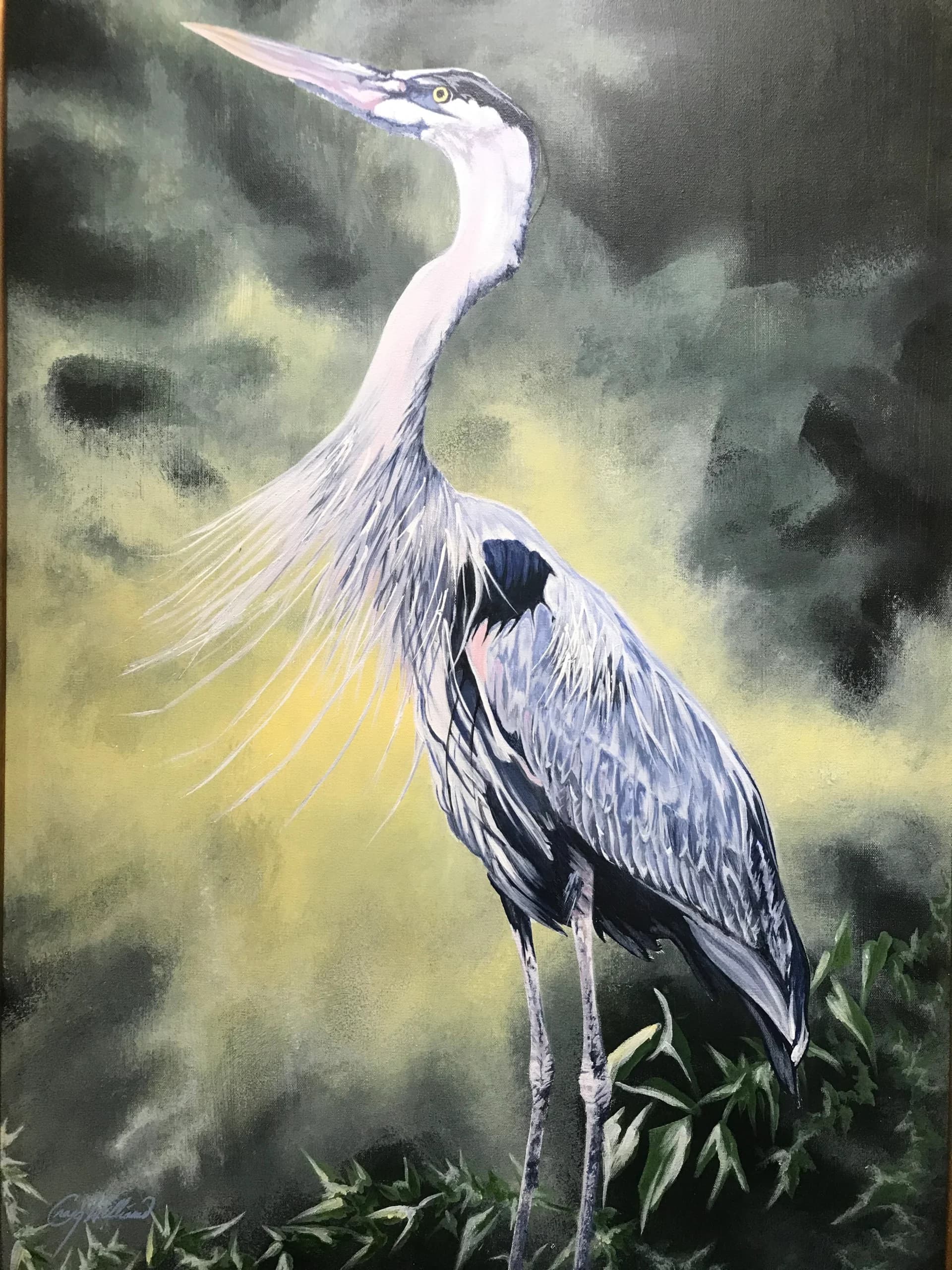 Blue Heron