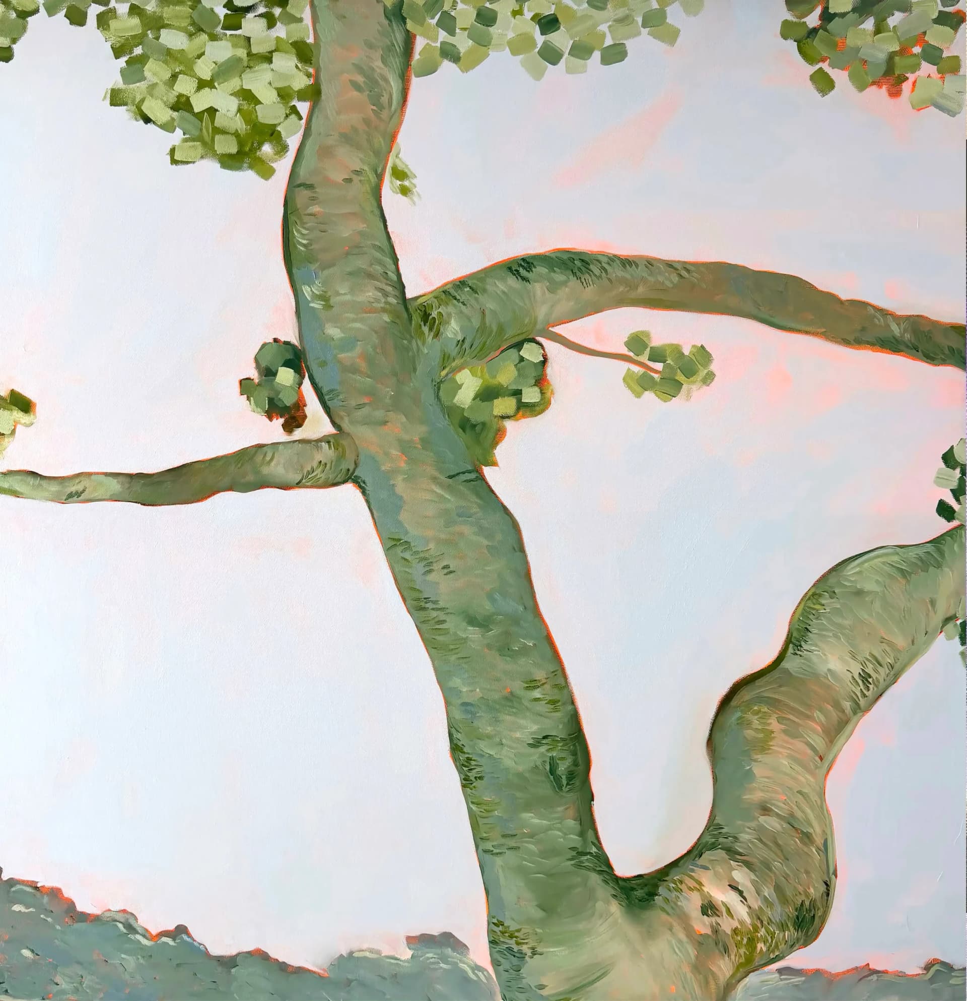 Tronc d'arbre sinueux