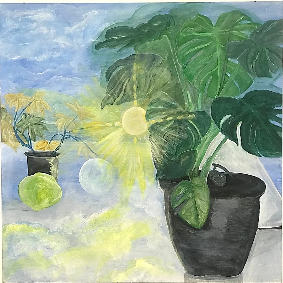 L’importance du Soleil dans la vegetation