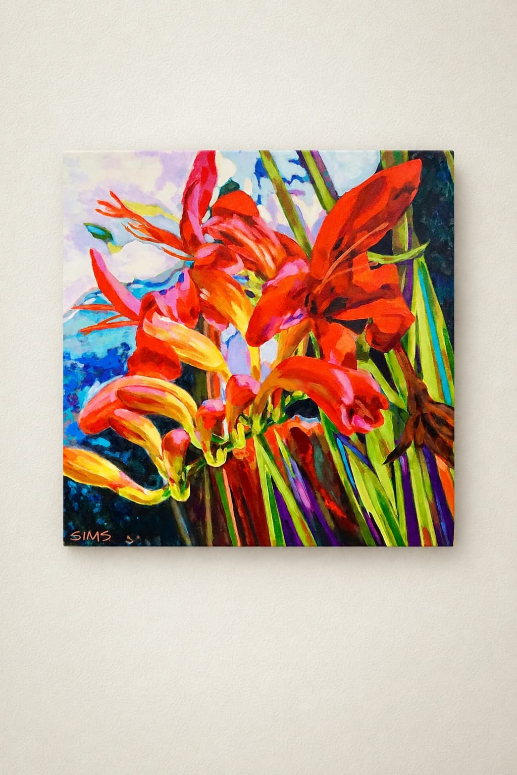 Lucifer (Crocosmia)