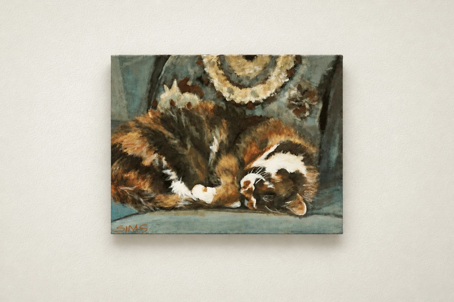 Tortoiseshell Sleeping
