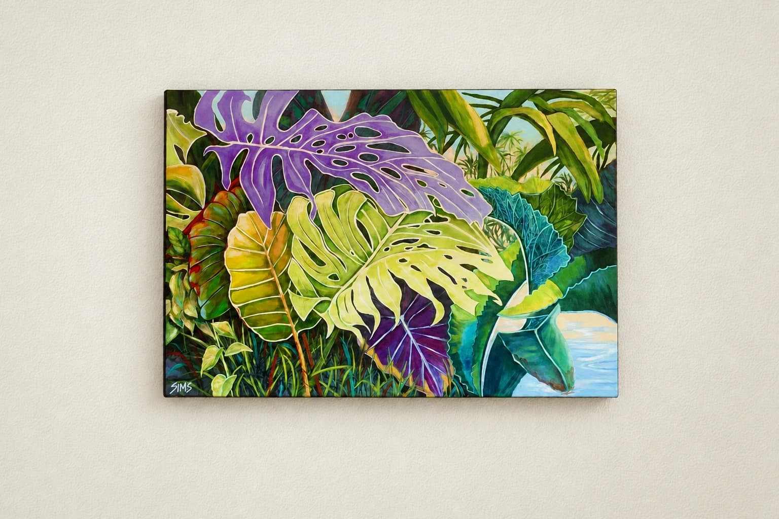 Monstera Reaching