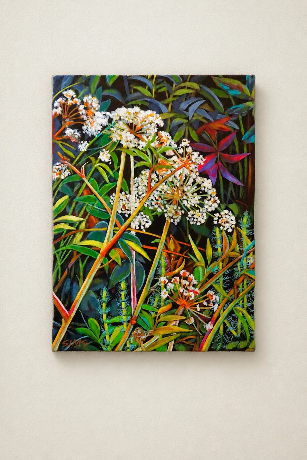 Water Hemlock