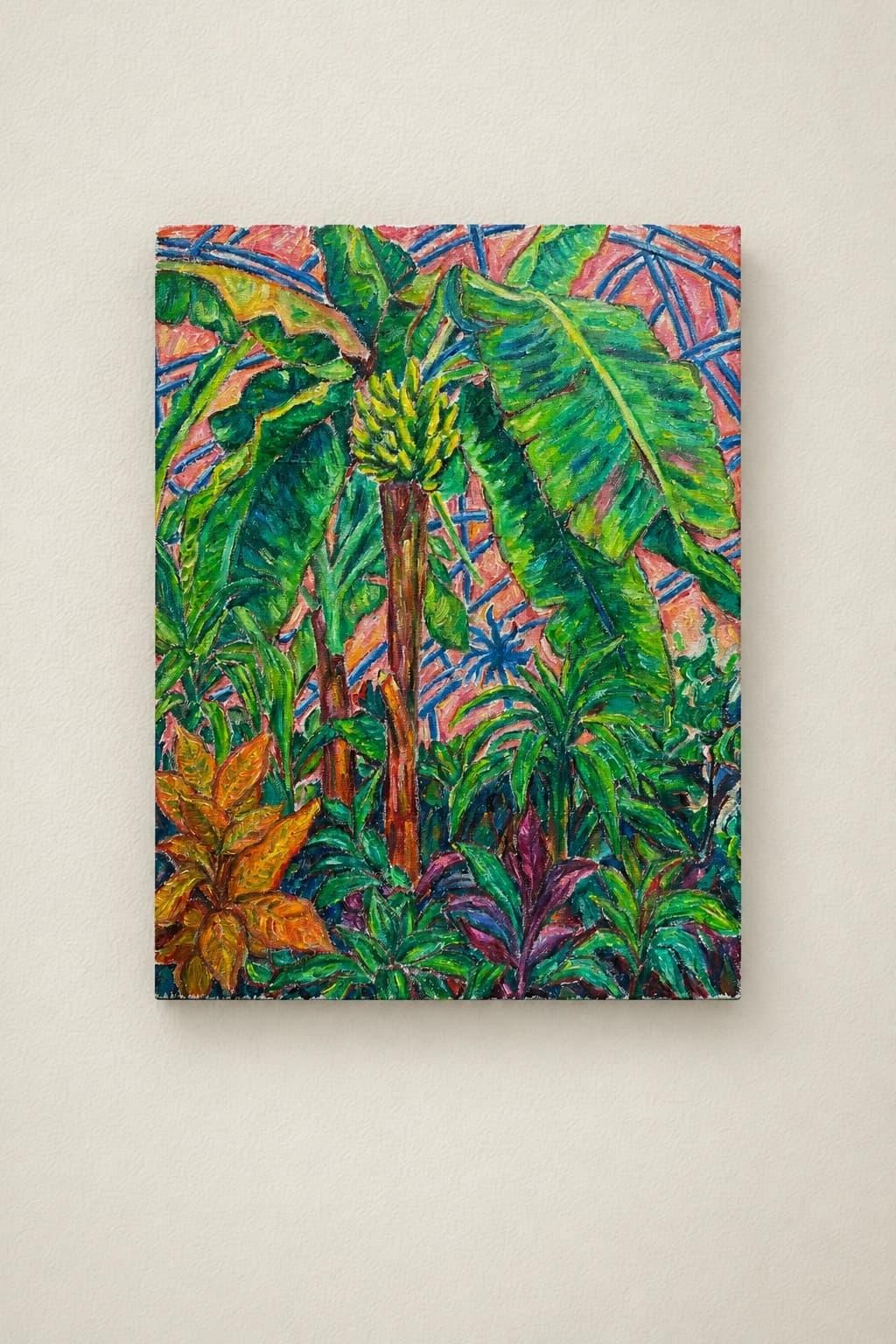 Bananier, Alan's Garden