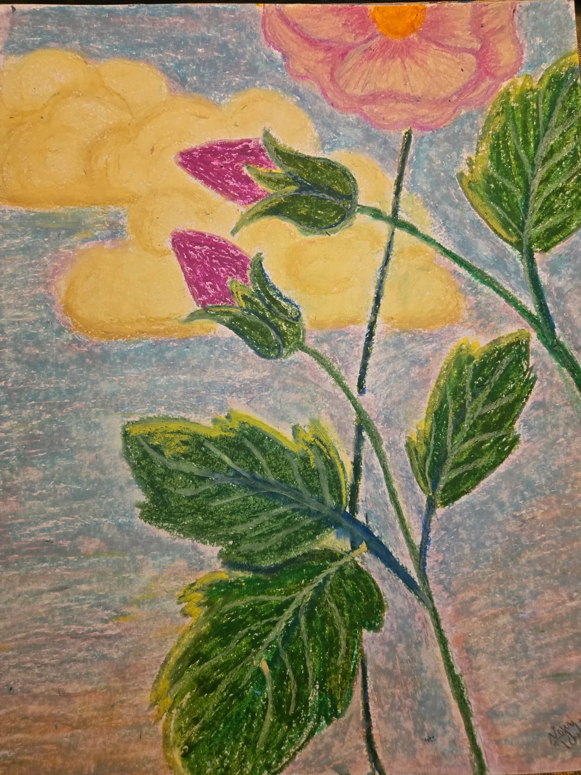 Flowers Under Pastel Sky