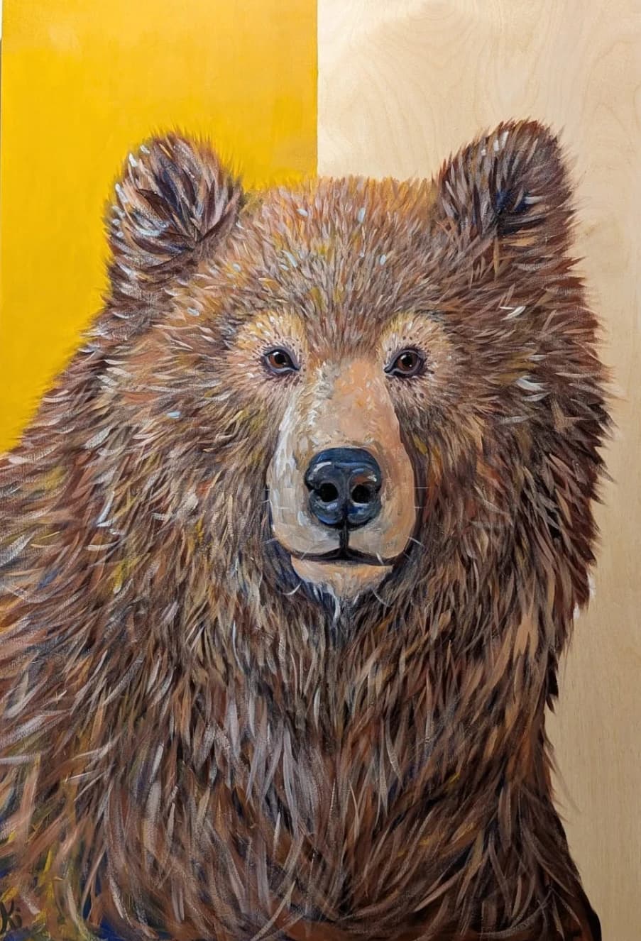 Portrait d'ours brun