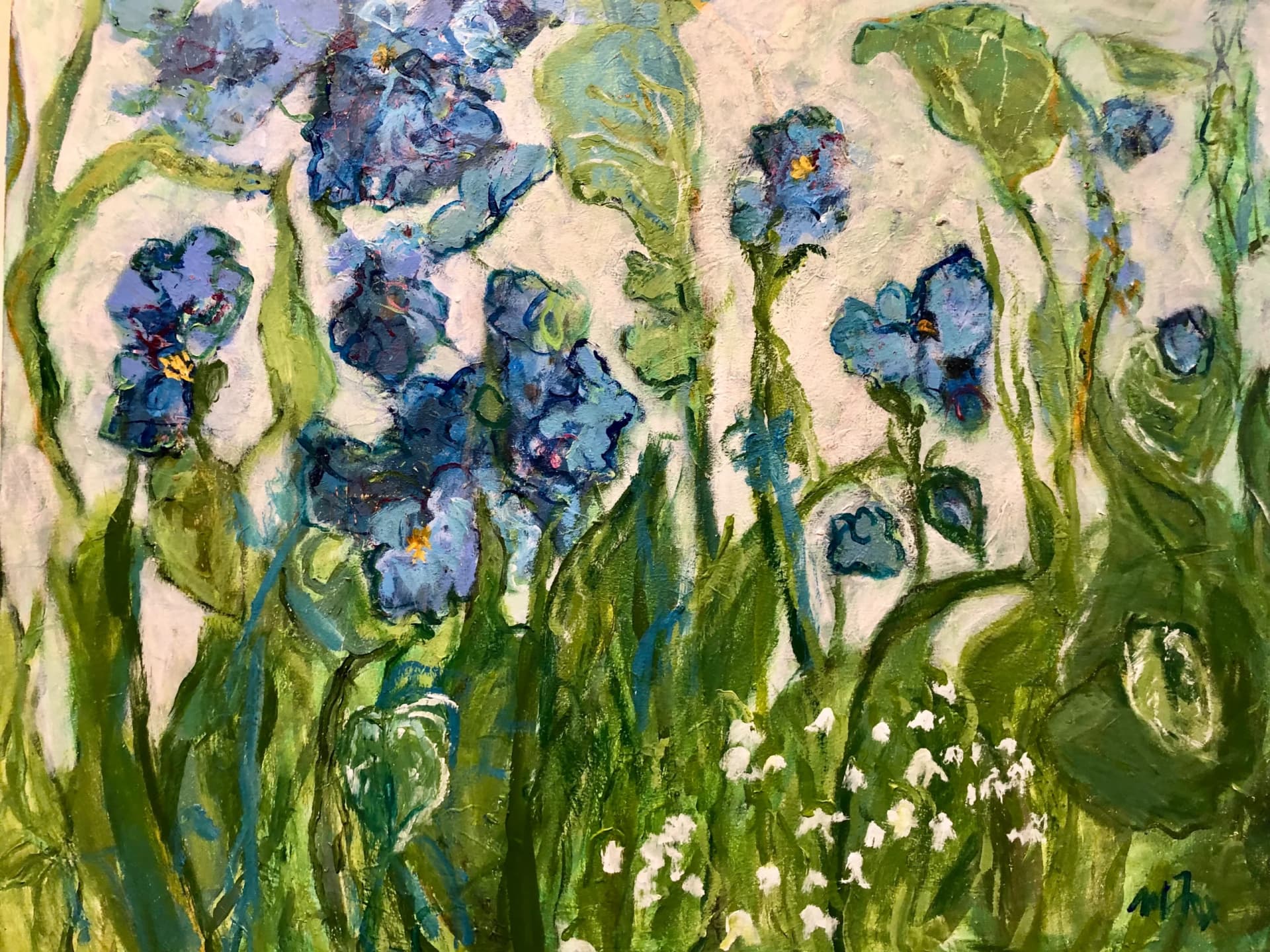 Iris bleus